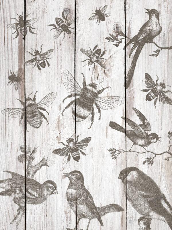 Birds Bees picture 600x800 - My Shabby Chic Corner - Prodotti Iron Orchid Designs - IOD