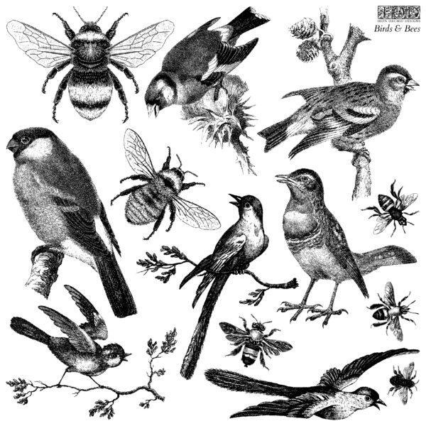 Birds  Bees stamp 600x600 - My Shabby Chic Corner - Prodotti Iron Orchid Designs - IOD